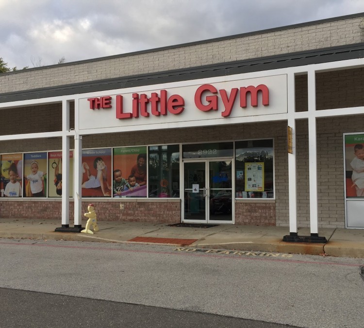 the-little-gym-of-twinsburg-photo